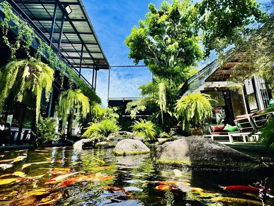 Rain Forest Cafe Pond 3